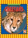 Cheetahs